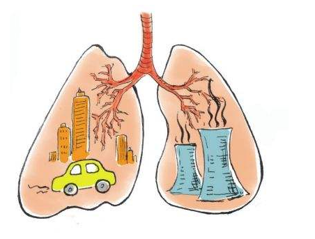 粉尘净化器——肺部
